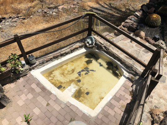 Restaurante Las Cañadas by null