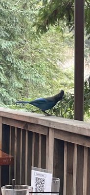 Fernwood Resort and Campground by null