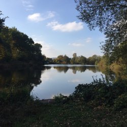 Zum Fischweiher - Teich