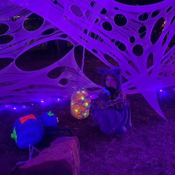 Pumpkin Nights - Spiders! - Festivals Near Me - Arlington, Texas Pumpkin Nights - Spiders! - Festivals Near Me - Arlington, Texas