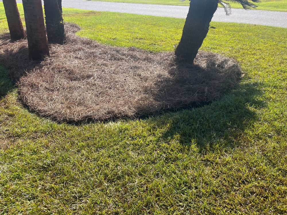 Lawn care / lawn maintenance