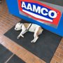 Photo of AAMCO Transmissions & Total Car Care