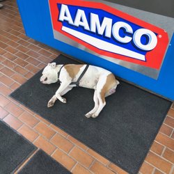 AAMCO Transmissions & Total Car Care