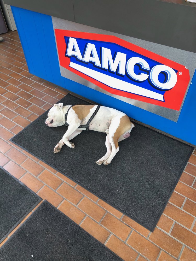 AAMCO TRANSMISSIONS & TOTAL CAR CARE Updated June 2024 1730