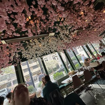 Residents Cafe & Bar - Cocktail Bars Near Me - Washington, DC, District of Columbia