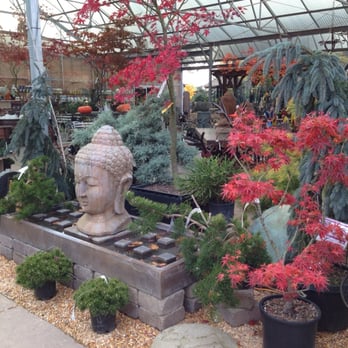 Bushnell Gardens Nursery - Ever wonder where you could buy a big Buddha head for your garden? - Nurseries & Gardening Near Me - Granite Bay, California Bushnell Gardens Nursery - Ever wonder where you could buy a big Buddha head for your garden? - Nurseries & Gardening Near Me - Granite Bay, California