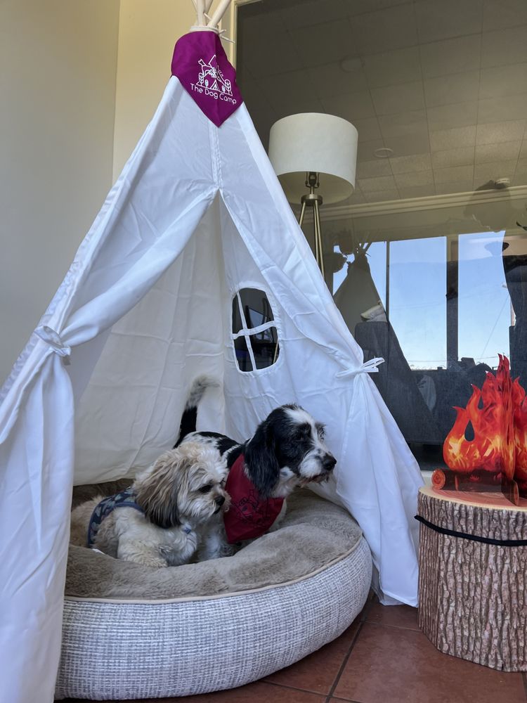 The Dog Camp Logo
