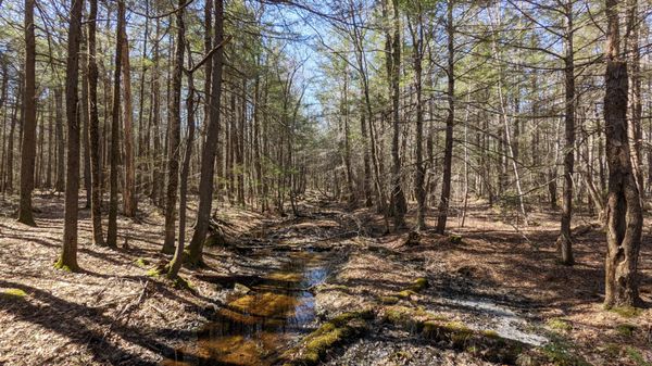 Ferry Beach State Park by null