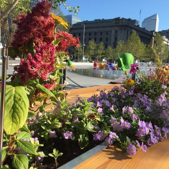 REBOL - Flowers in the tables outside :) - Coffee & Tea Near Me - Cleveland, Ohio REBOL - Flowers in the tables outside :) - Coffee & Tea Near Me - Cleveland, Ohio