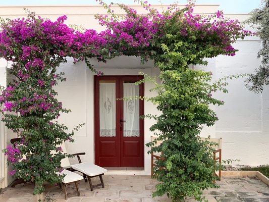Masseria TORRE COCCARO by null