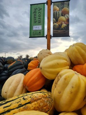 Goebbert's Farm - South Barrington by null