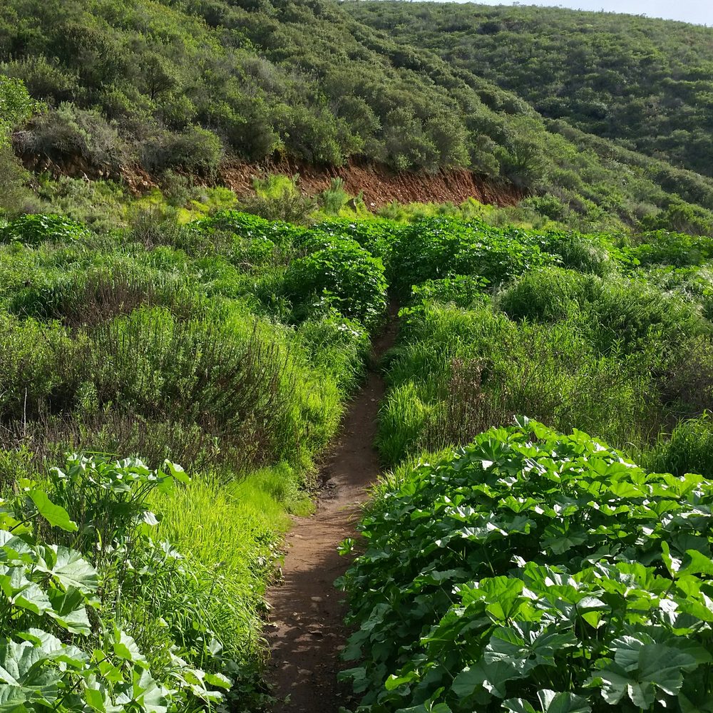 Copper Creek Falls Trail - Restricted Access - Hiking Near Me - San Marcos, California Copper Creek Falls Trail - Restricted Access - Hiking Near Me - San Marcos, California