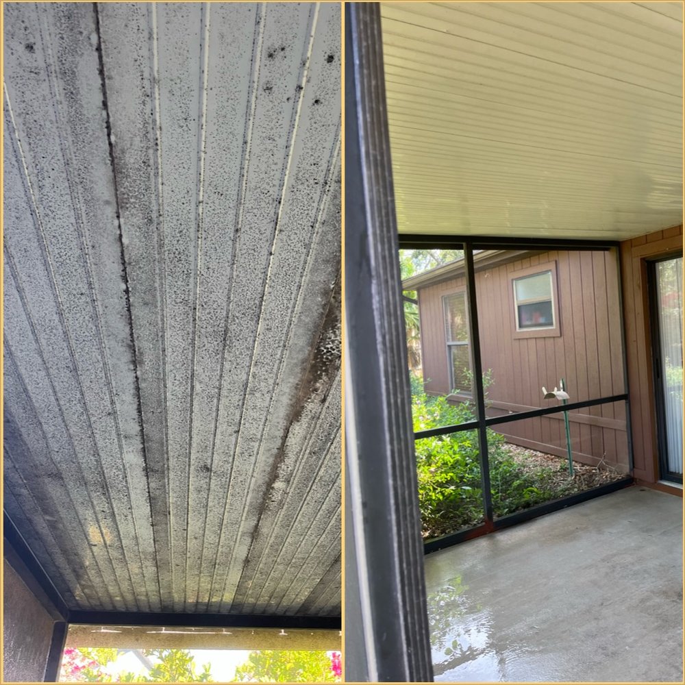 CARPET CLEANING Request a Quote Sarasota, Florida Carpet Cleaning