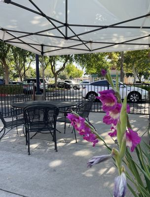 T & 5 Bakery Cafe by null