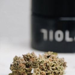 Atrium - Brand 710 labs