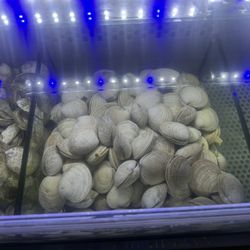 El Ancla - Clams.z