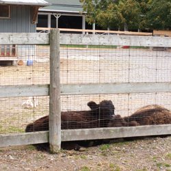Green Acres Day Camp