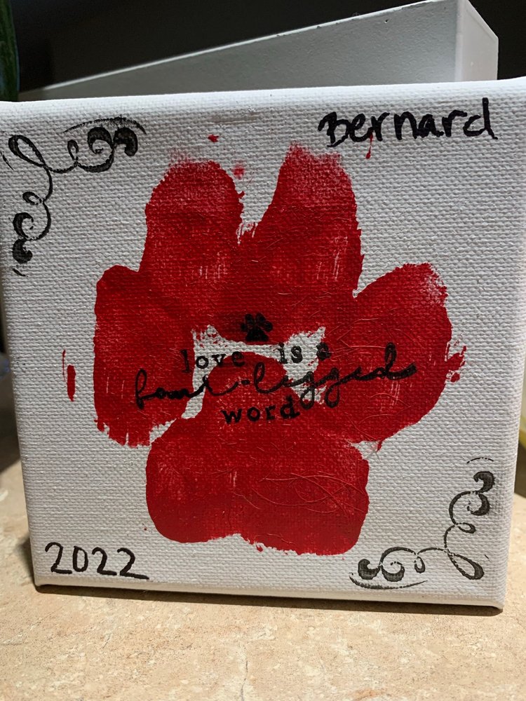 BUBBLES & BOW Updated September 2024 12 Photos & 17 Reviews 15174