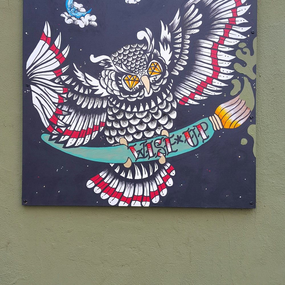 an owl on a skateboard an owl on a skateboard