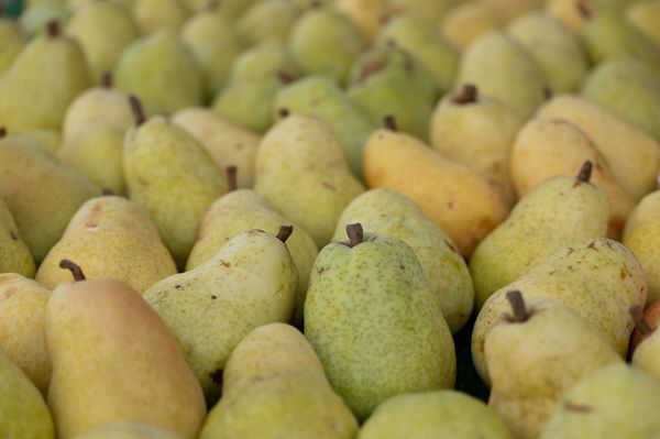 Canyon Gourmet by null