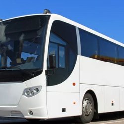 Good Times Charter Tours