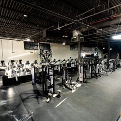 Wolf Fitness