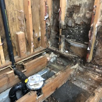 Value Home Improvement - A pea trap became disconnected and we discovered a mold outbreak - Painters Near Me