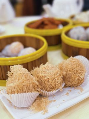 House of Joy by null