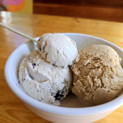 Arcata Scoop by null