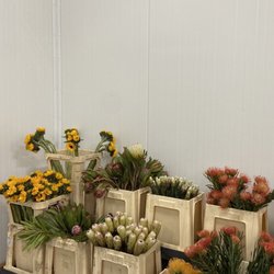 Mayesh Wholesale Florists - Seattle - Great selection!