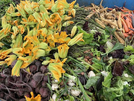 The Chef's Garden by null