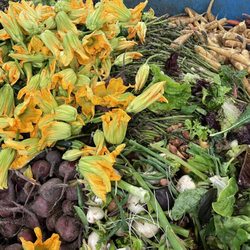 Lots of veggies