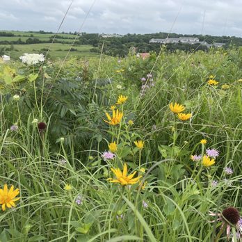 Prairie Ridge Conservation Park - Parks Near Me - Madison, Wisconsin