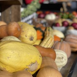 Orbaker's Farm Market