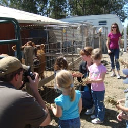 Phoenix Ranch / CETA Foundation - Make an appointment to visit our friendly animals--- horses, pigs, sheep, parrots, ...and more! Only $5/person ($50 min)