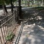 Photo of Riverside Park