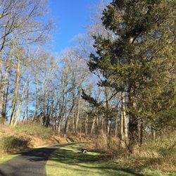Irwin Park - Irwin Park trail