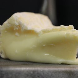 Barossa Valley Cheese Company - Free cheese tastings daily