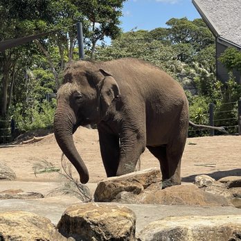 Taronga Zoo - Zoos Near Me - Mosman, NSW Taronga Zoo - Zoos Near Me - Mosman, NSW