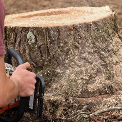 Power Tree Service