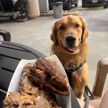 Queenie B’s Soul Food - Maverick loved the left over ribs Queenie gifted him! - Soul Food Near Me - Spring Texas, Texas Queenie B’s Soul Food - Maverick loved the left over ribs Queenie gifted him! - Soul Food Near Me - Spring Texas, Texas