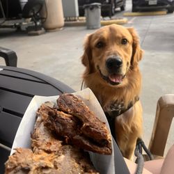 Queenie B’s Soul Food - Maverick loved the left over ribs Queenie gifted him!