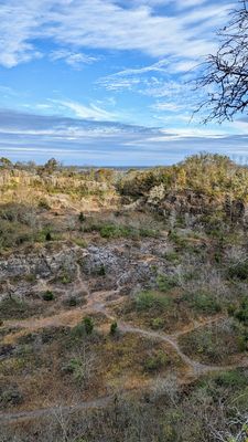 Ruffner Mountain by null