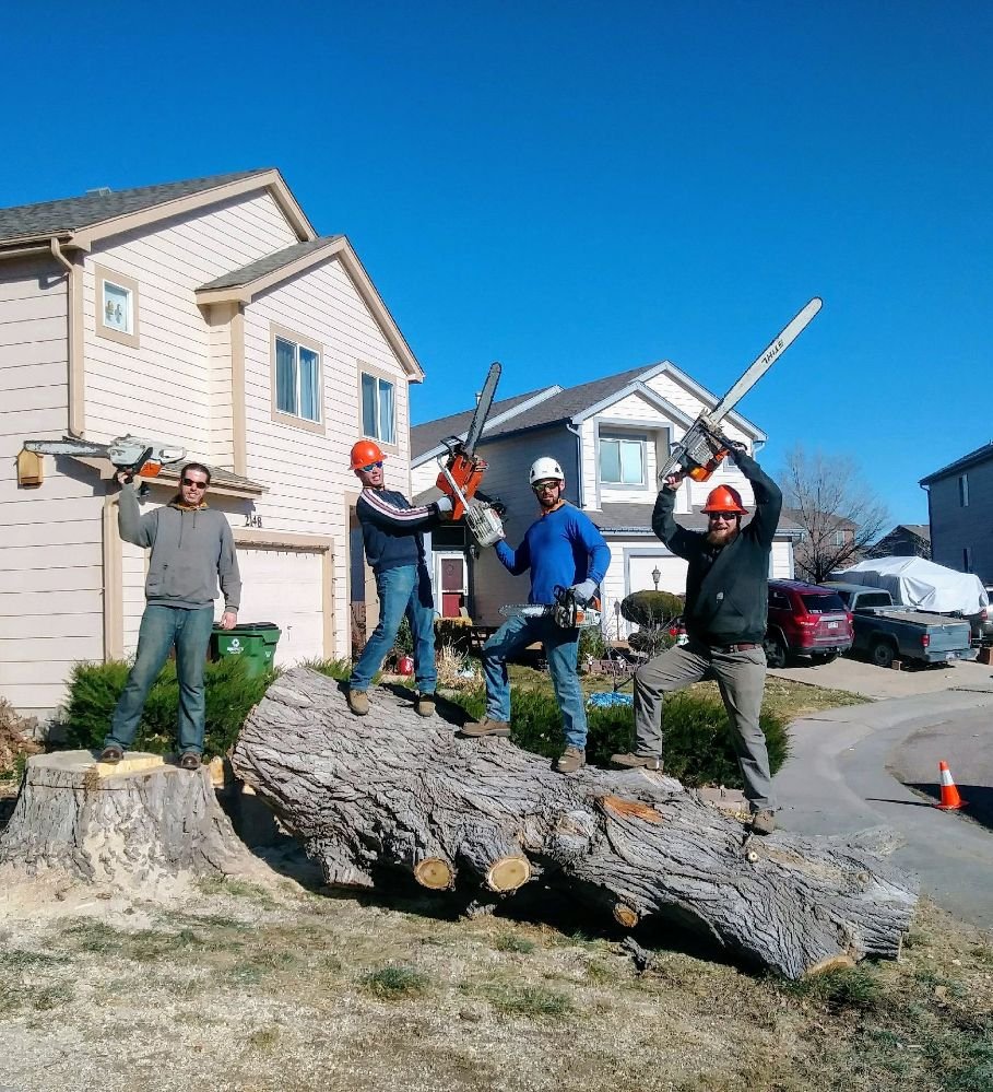 Advanced Tree Service - tree service in Colorado Springs, CO