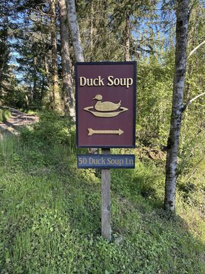 Duck Soup by null
