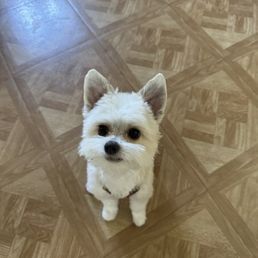 Mr. Milo Mr. Milo