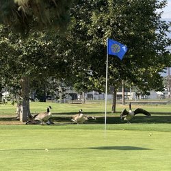 Arcadia Golf Course