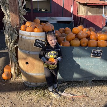 Larry's Produce - Batman next to the batman pumpkins - Fruits & Veggies Near Me - Fairfield, California Larry's Produce - Batman next to the batman pumpkins - Fruits & Veggies Near Me - Fairfield, California