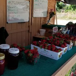 Nai's Berry Farm - Produce