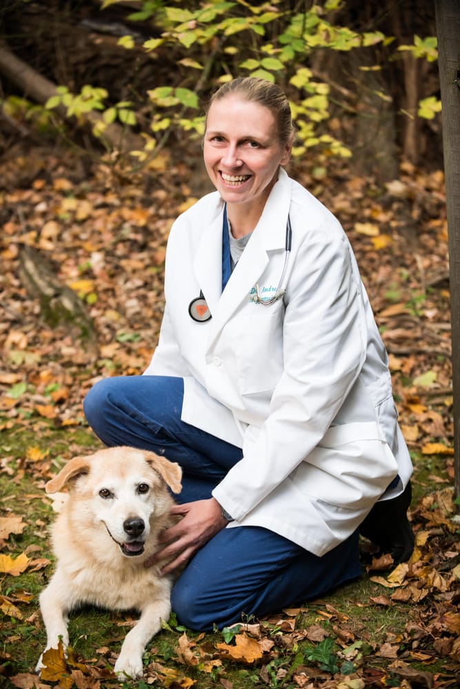 MT AIRY ANIMAL HOSPITAL Updated September 2024 14 Photos & 84 Reviews 114 E Mt Airy Ave